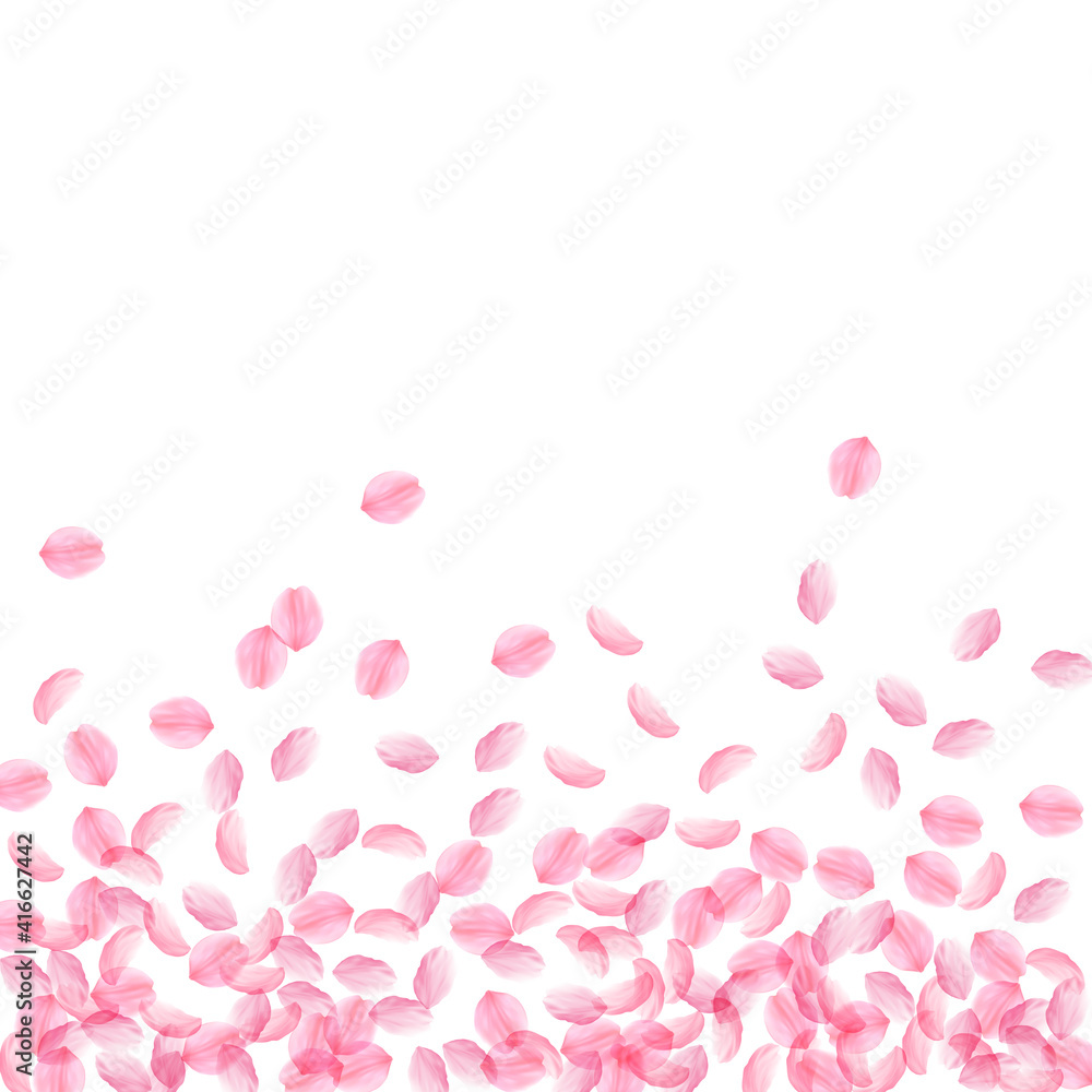Sakura petals falling down. Romantic pink silky medium flowers. Thick flying cherry petals. Scatter