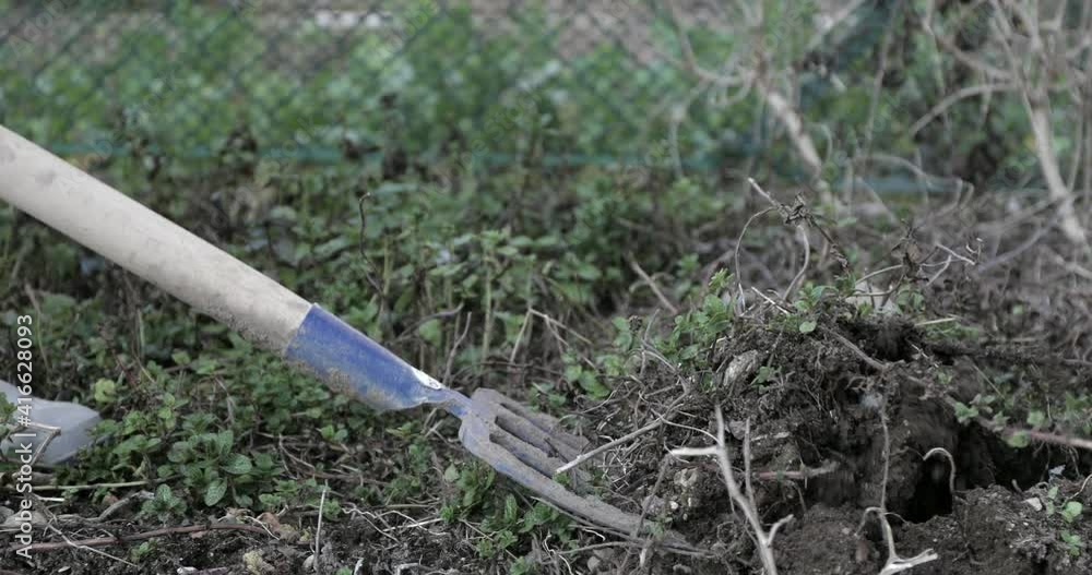 hoe the vegetable garden with fork hoe the vegetable garden with fork