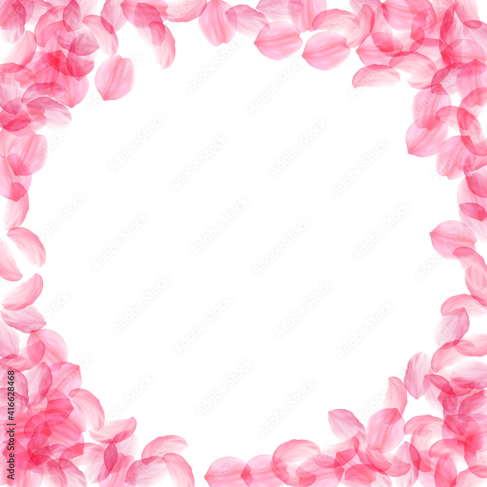 Sakura petals falling down. Romantic pink silky big flowers. Thick flying cherry petals. Corner fram