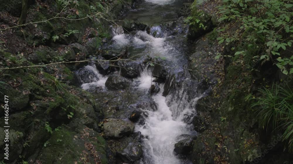 Flowing Streams Over Mossy Rocks On Mountain Forest Near Town Of Okutama, Japan. - Static Shot Flowing Streams Over Mossy Rocks On Mountain Forest Near Town Of Okutama, Japan. - Static Shot