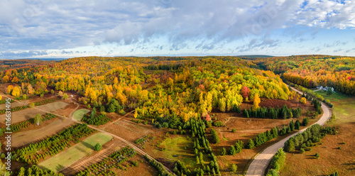 Beautiful tree farm in the nice early morning light during autumn in the Michigan countryside on M32 between Atlanta and Bigelow photo