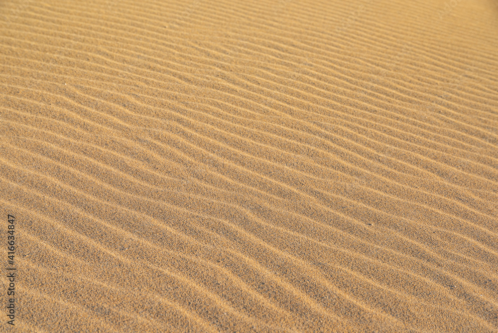Desert landscapes different parts of the world Desert landscapes different parts of the world