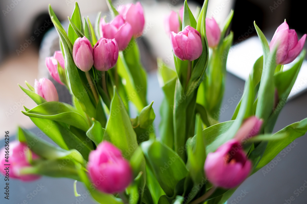 Naklejka premium Różowe tulipany kwiaty