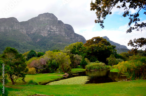 Pond in Kirstenbosch National Botanical Garden with Table Mountain on Background in Cape Town South Africa