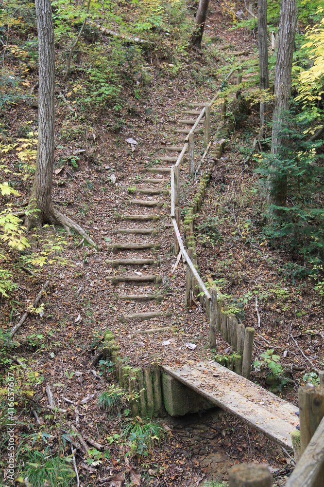 Fototapeta 自然の中に設けられた簡素な階段や橋