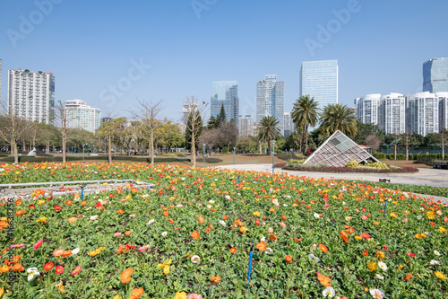 Flower beds in Pearl River new town and park, Guangzhou, China