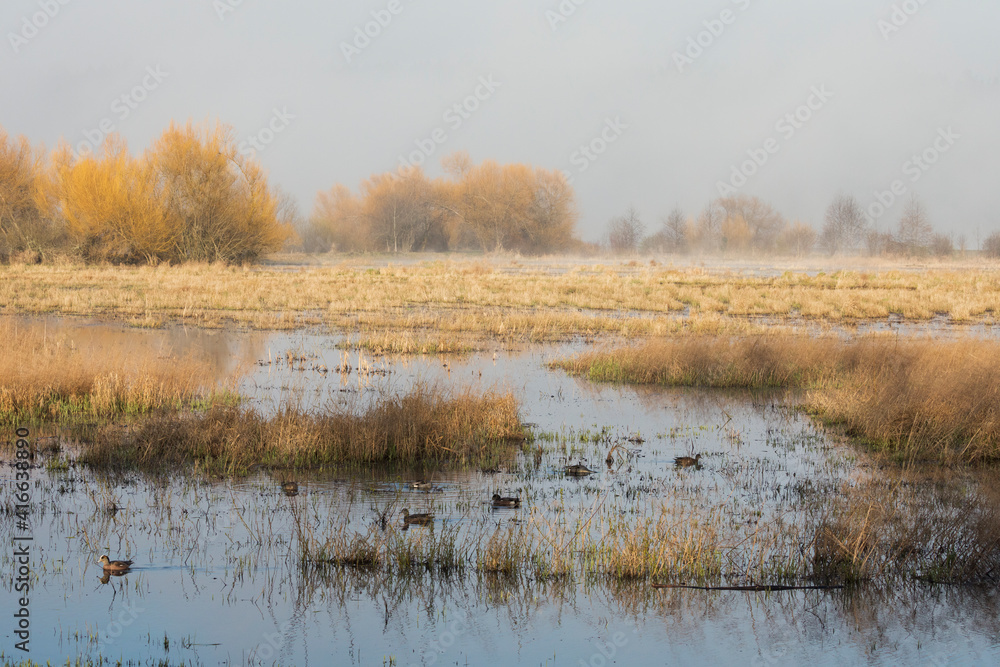 Autumn wetlands Autumn wetlands