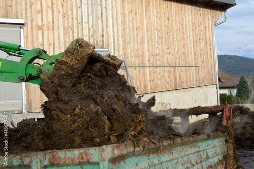 Manure Is Loaded With Tractor In Manure Spreader photo