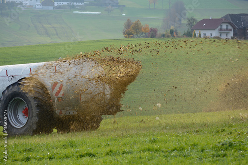 Manure Application On A Meadow photo