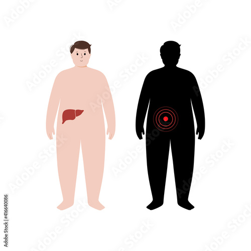 Organs in obese human body