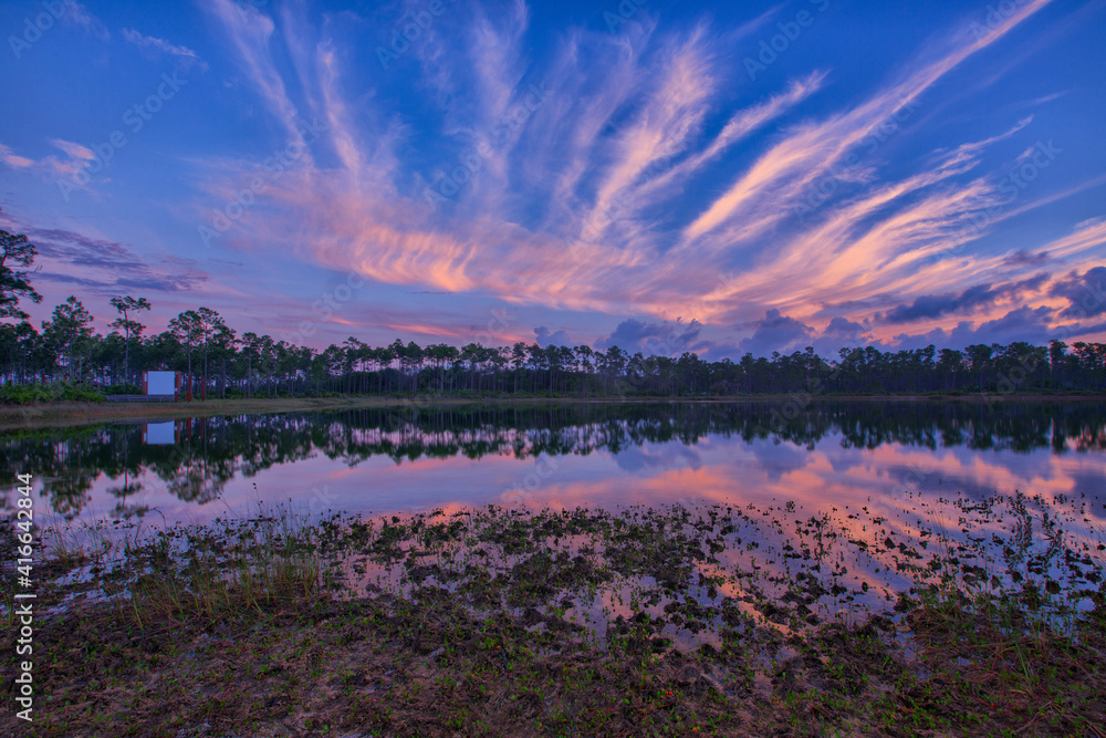 Cloud Streamers Sunrise - Everglades 