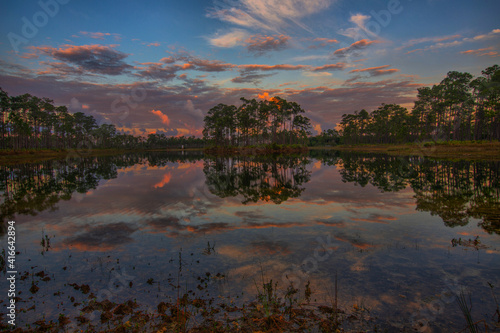 Sunrise in the Everglades 