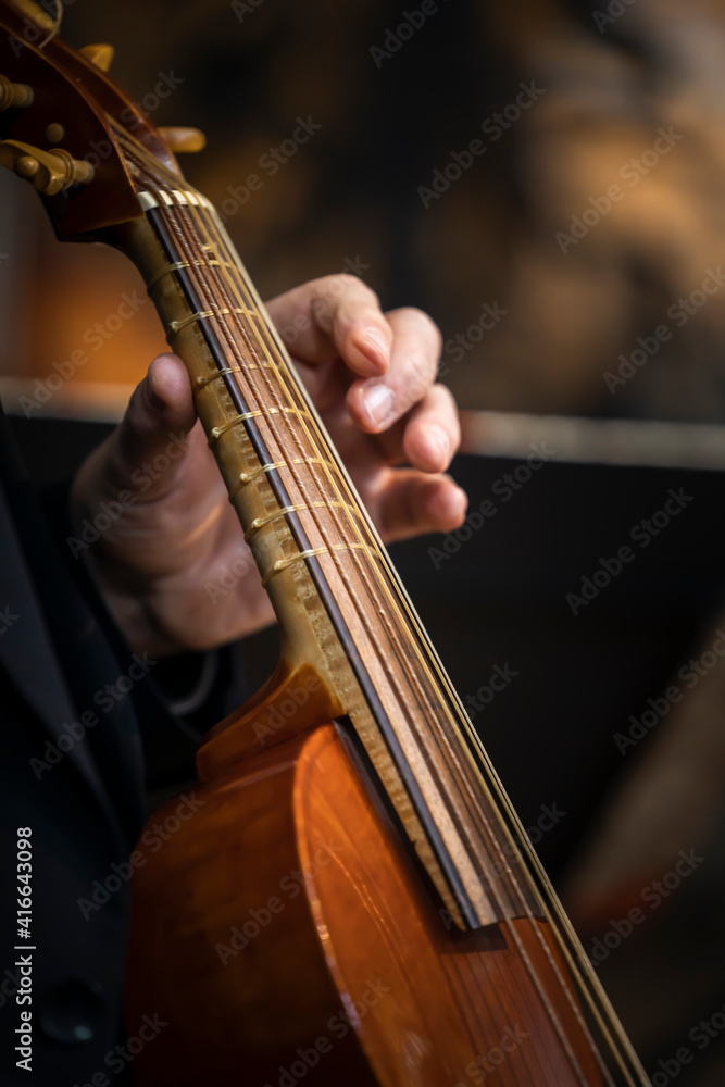 Fototapeta premium Viol hand early music