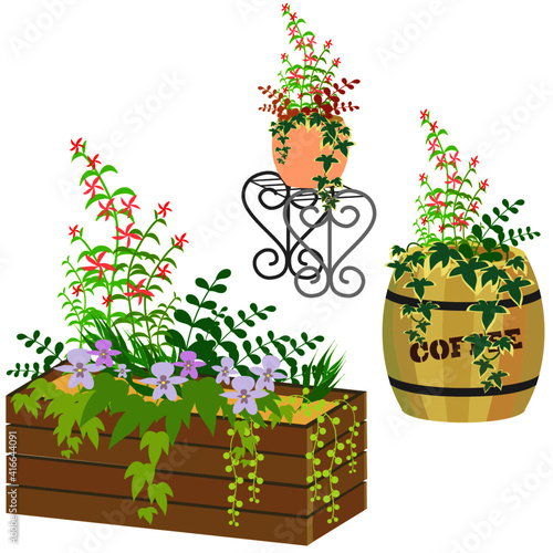 花と観葉植物の寄せ植え