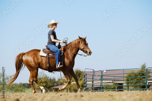 Western industry shows cowgirl riding mare horse during summer.