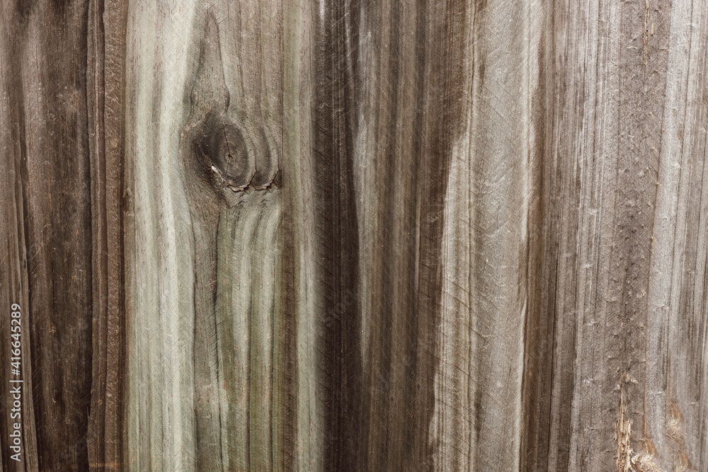 Wet Wood Plank Grunge Texture Background