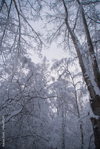 beautiful winter landscape inside the city