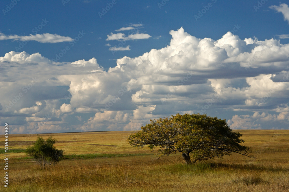 The desolate landscape of southern Madagascar under a blue sky with beautiful cumulus clouds
