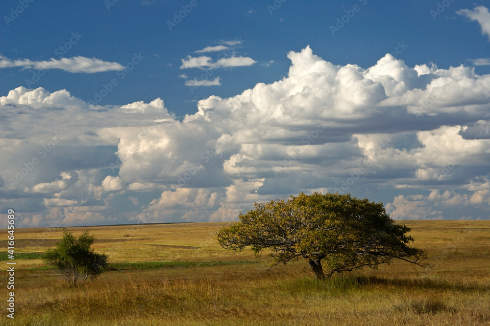 The desolate landscape of southern Madagascar under a blue sky with beautiful cumulus clouds The desolate landscape of southern Madagascar under a blue sky with beautiful cumulus clouds