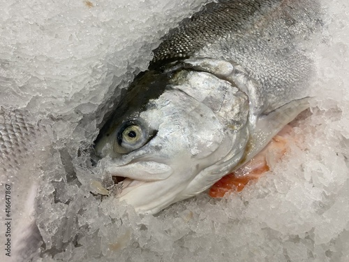 fresh fish in food market photo