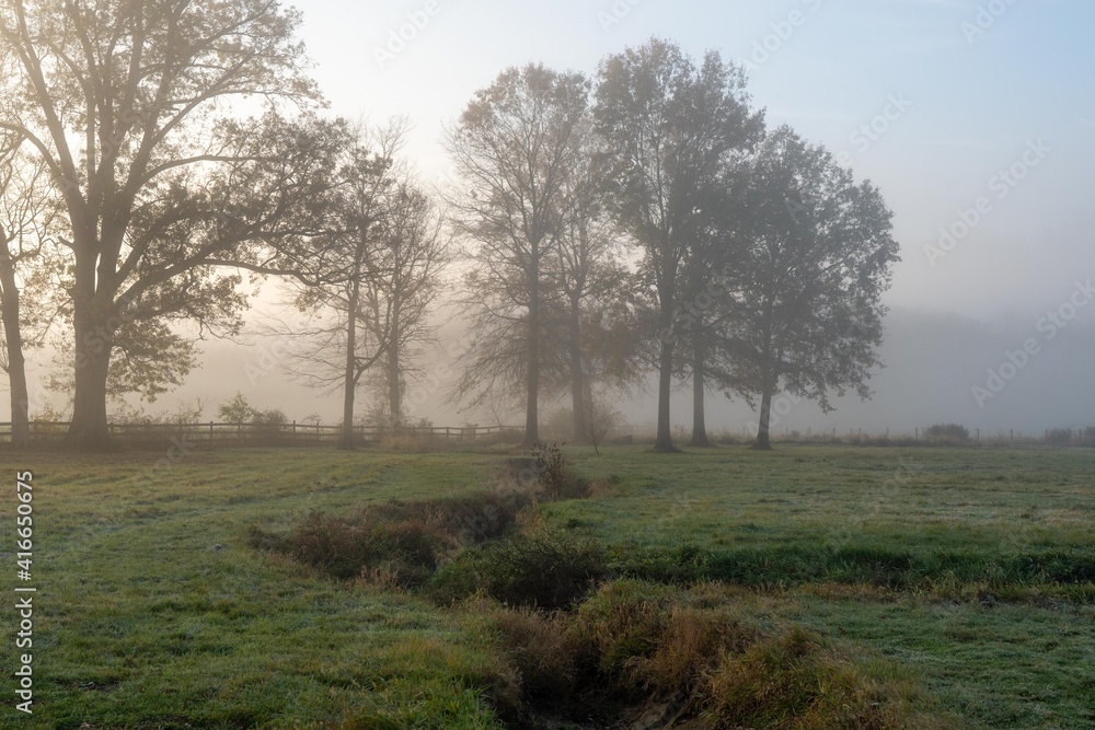 Fototapeta premium Misty Meadows in the Morning