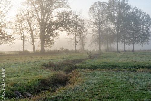 Misty Meadows in the Morning