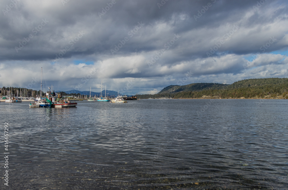 boats in the harbour in Ladysmith, BC