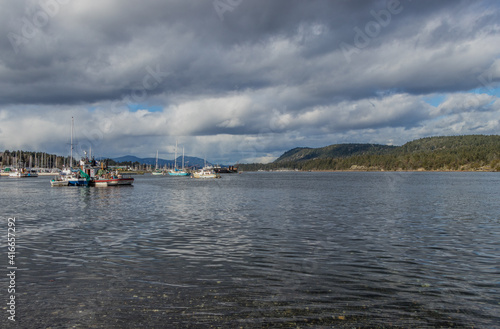 boats in the harbour in Ladysmith, BC © Lynda