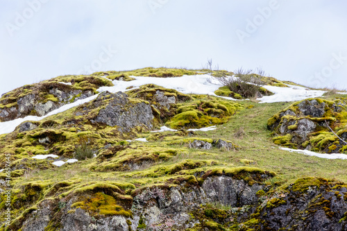 snow covered moss and rocks