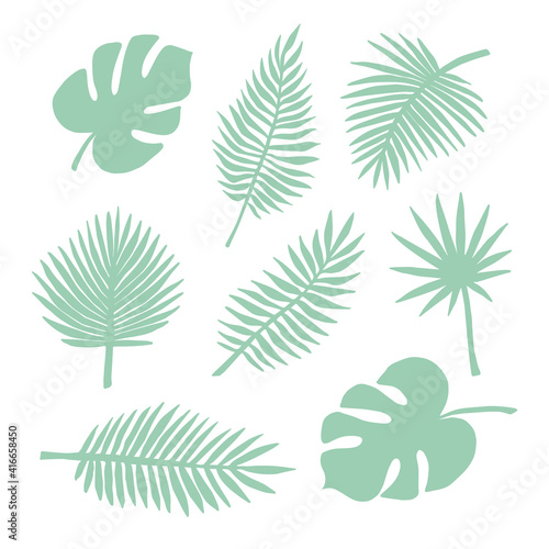 Vector set bundle of mint green hand drawn palm and monstera leaves isolated on white background