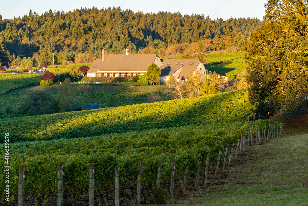 A vineyard and winery in the rolling hills near Salem Oregon