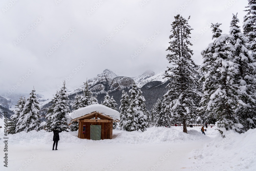 Tourist and Canadian are staying active during cold months and enjoying winter wonderland in Banff National park. Tourist and Canadian are staying active during cold months and enjoying winter wonderland in Banff National park.