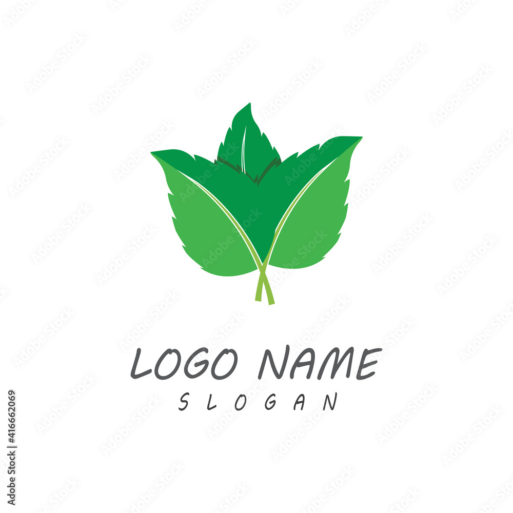 Leaf icon Vector Illustration design Logo template Leaf icon Vector Illustration design Logo template