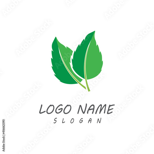 Leaf icon Vector Illustration design Logo template