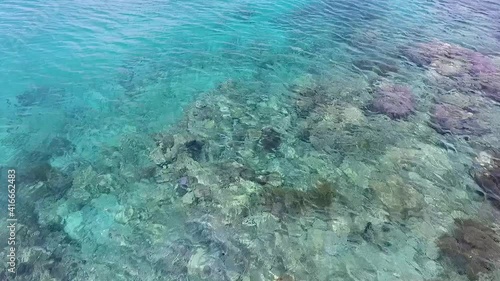 Wallpaper Mural Crystal clear sea water and coral reef at coast of Moyo Island, Indonesia Torontodigital.ca