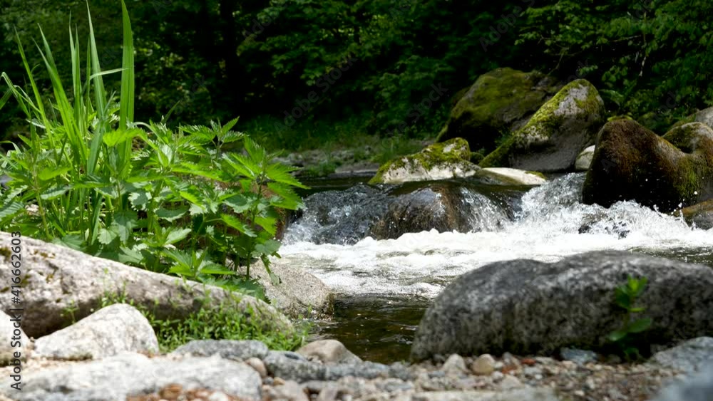 Water flews down a little waterfall in a wild river in upper austria. There a stones and rocks in foreground and green plants and nettles on the left. Water is splashing. The rocks are full of moss. Water flews down a little waterfall in a wild river in upper austria. There a stones and rocks in foreground and green plants and nettles on the left. Water is splashing. The rocks are full of moss.