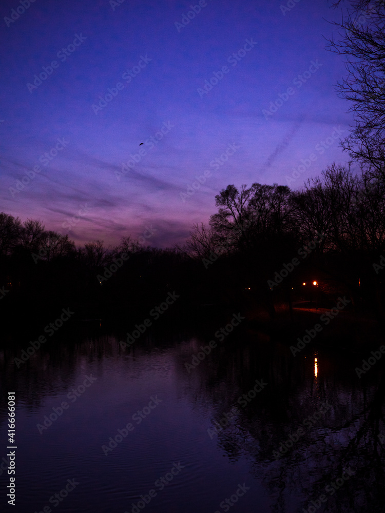 Purple night sky with flying birds