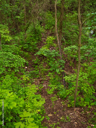 Illinois Forest Preserve