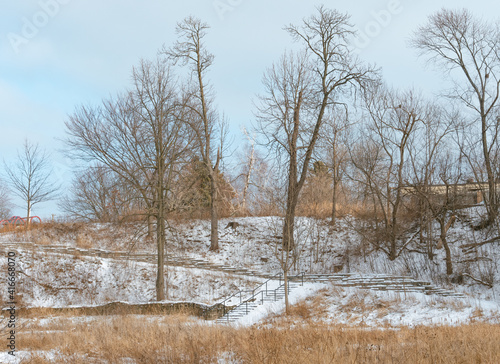Wallpaper Mural Snowy ravine with tall grass in winter Torontodigital.ca
