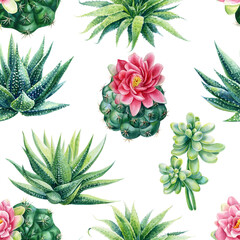 Deken met foto Jungle Succulent and cactus seamless pattern. Watercolor botanical illustration, background succulents, stone rose  © Hanna