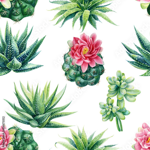 Fototapeta Naklejka Na Ścianę i Meble -  Succulent and cactus seamless pattern. Watercolor botanical illustration, background succulents, stone rose