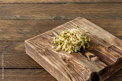 Macrobiotic food. Sprouted mung beans ready to eat on wooden serving board. Rustic style