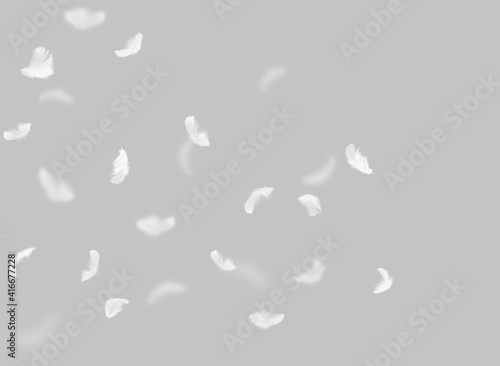 Abstract, Group of white feathers floating in the air. Gray background.