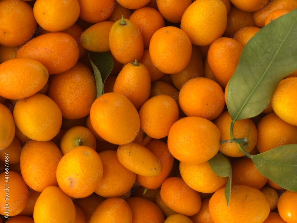 Winter kumquats for sale at the farmers market