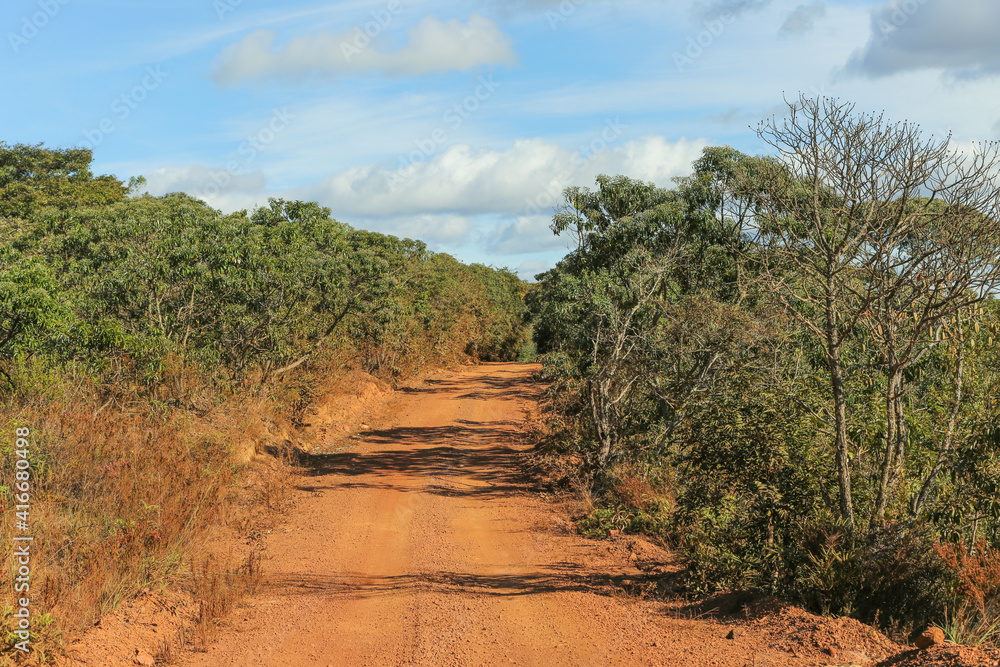 Trees along a dirt road close to Diamantina in Minas Gerais, Brazil Trees along a dirt road close to Diamantina in Minas Gerais, Brazil