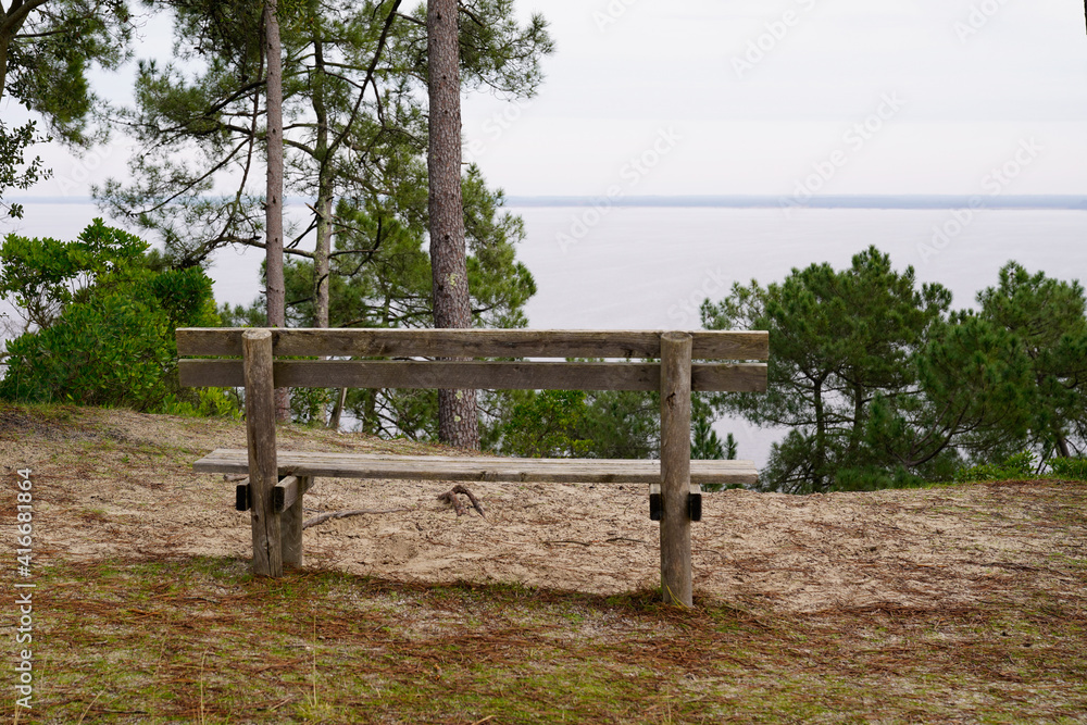 bench wooden in the park pine forest with lake view in summer day on Hourtin coast France