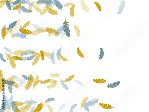 Detailed majestic feather on white design.