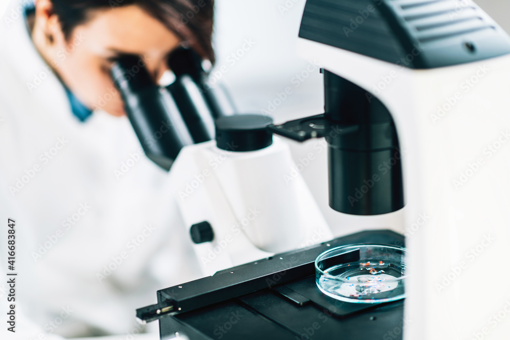Microplastics, Laboratory Research Stock Photo Adobe Stock