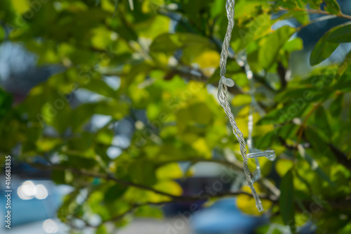 wire micro led string hanging on tree in day time.