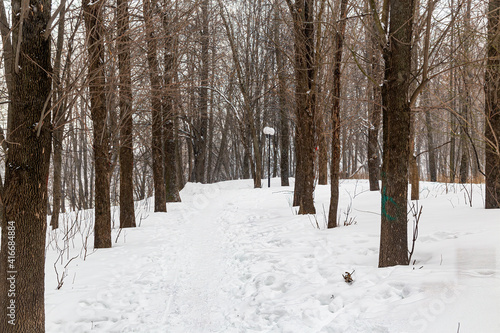 Winter landscape in the park © viktor